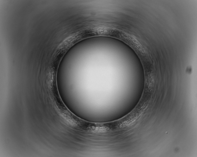 X0000101140645200806270920