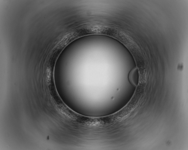 X0000101140646200806270920