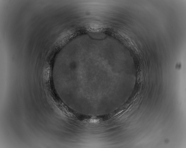 X0000101140647200806270920