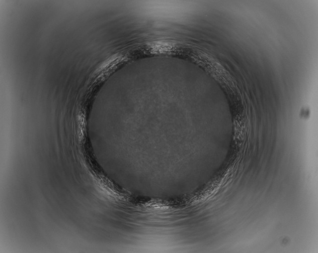 X0000101140648200806270920