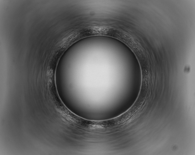 X0000101140649200806270920