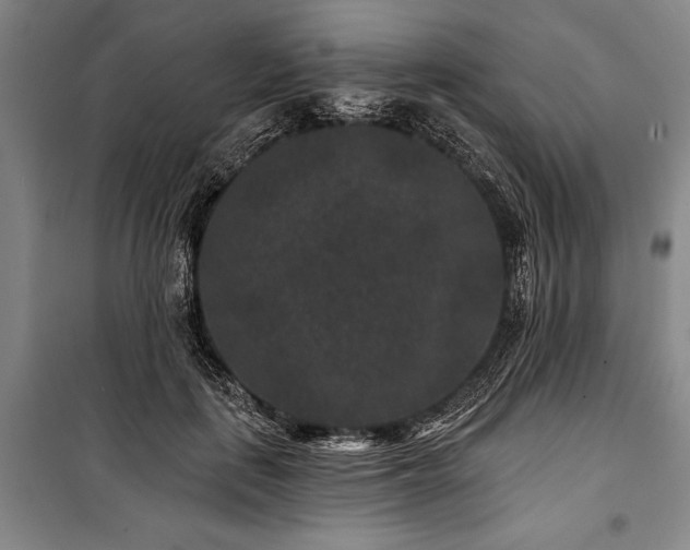 X0000101140651200806270920