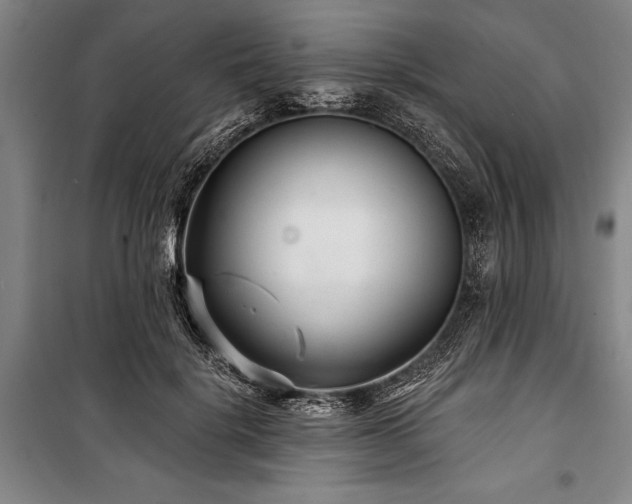 X0000101140652200806270920