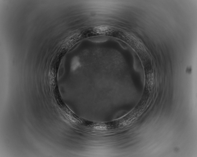 X0000101140653200806270920