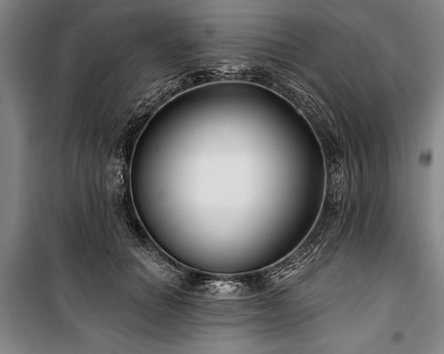 X0000101140654200806270920