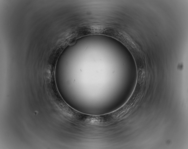 X0000101140655200806270920