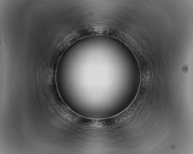 X0000101140656200806270920