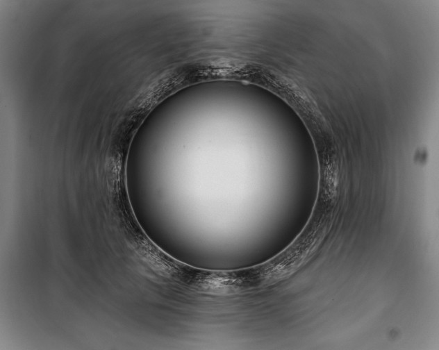 X0000101140657200806270920