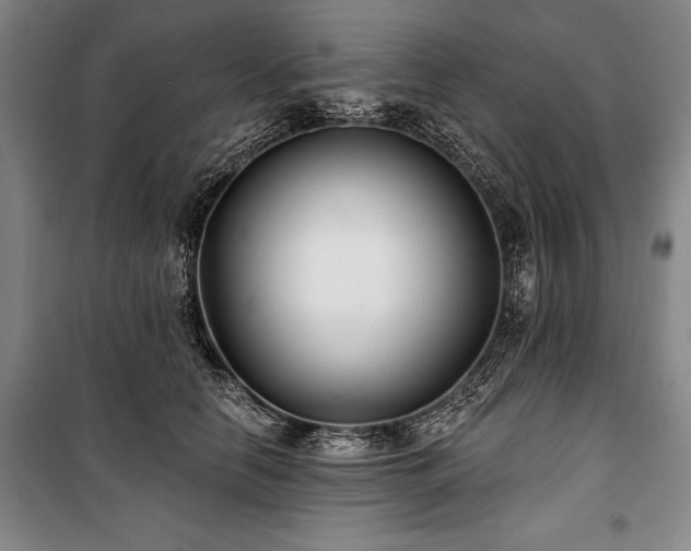 X0000101140658200806270920