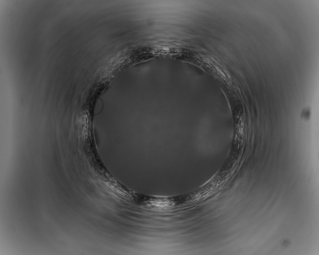 X0000101140659200806270920