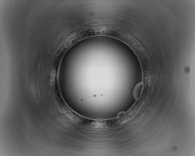 X0000101140660200806270921