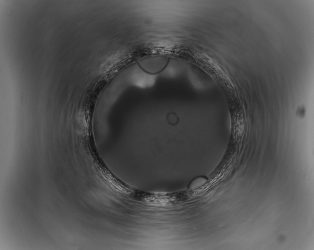 X0000101140661200806270921