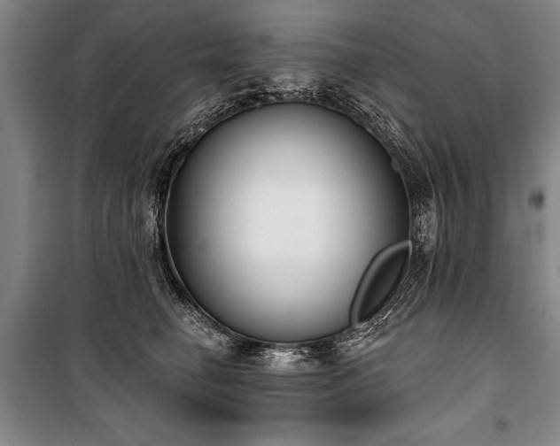 X0000101140662200806270921