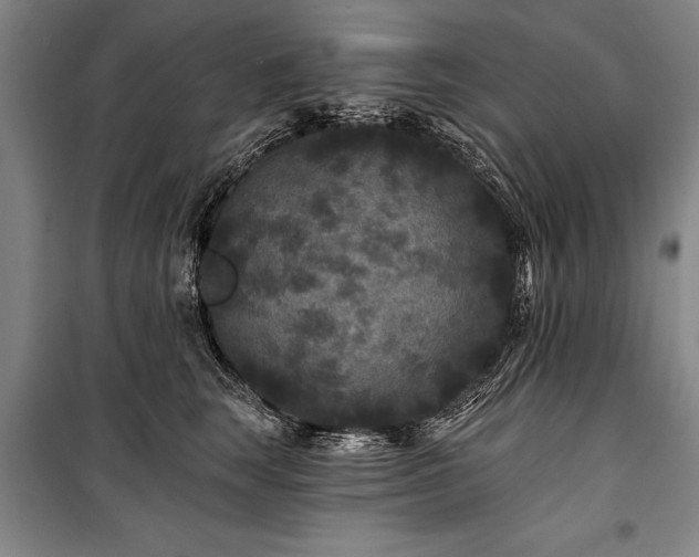 X0000101140663200806270921