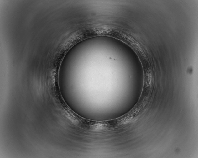 X0000101140664200806270921