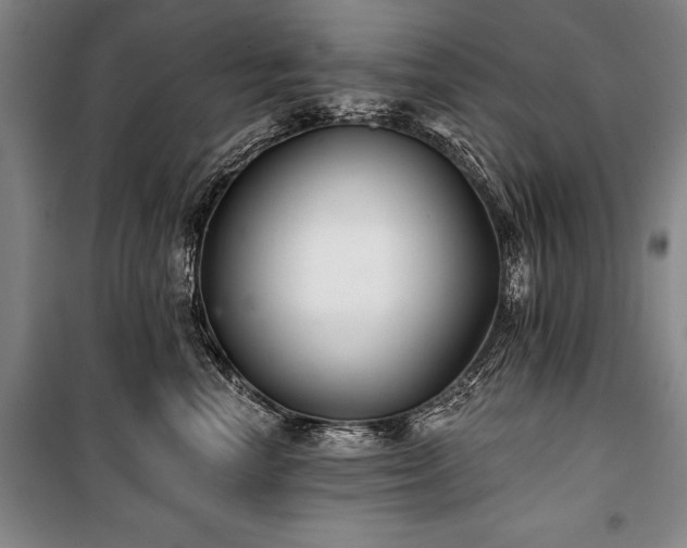 X0000101140666200806270921