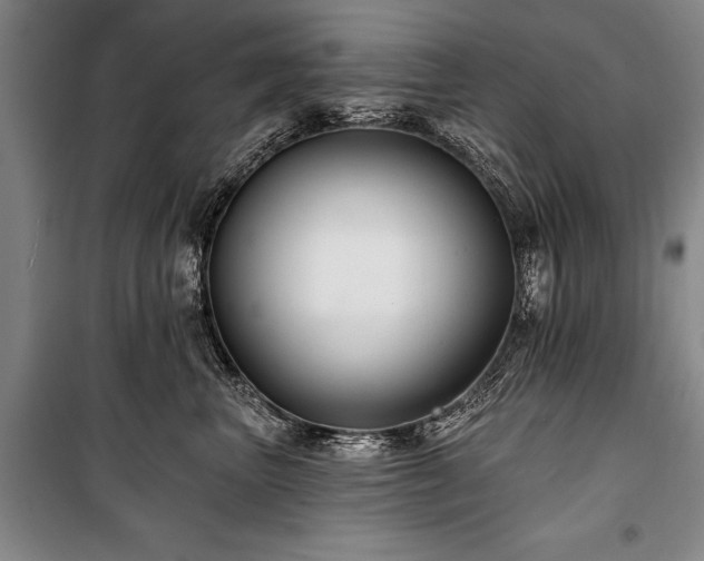 X0000101140667200806270921