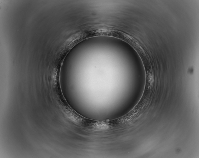 X0000101140668200806270921