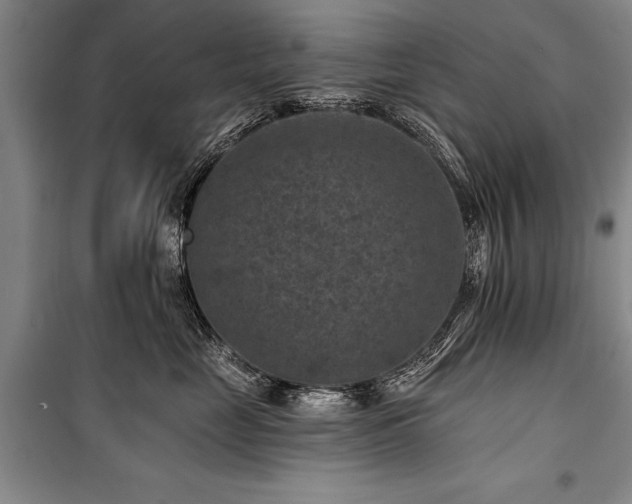 X0000101140669200806270921