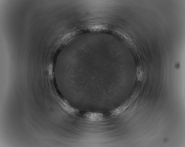 X0000101140670200806270921