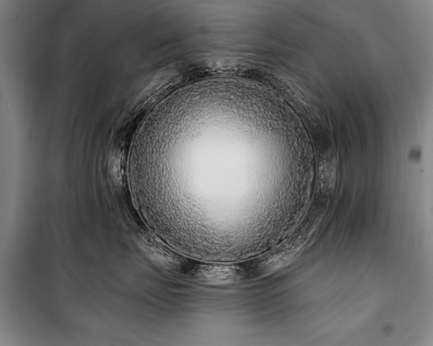 X0000101140671200806270921