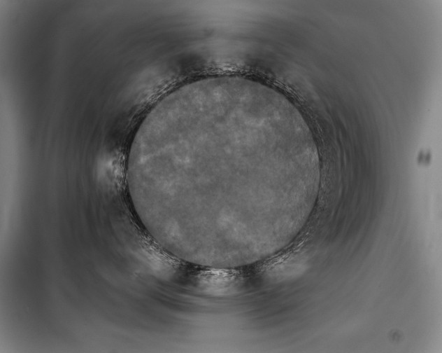 X0000101140672200806270921