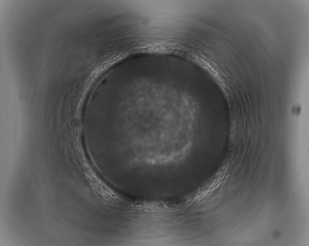 X0000101140673200806270920