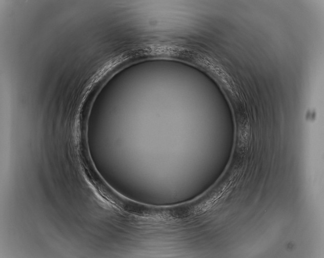 X0000101140674200806270920