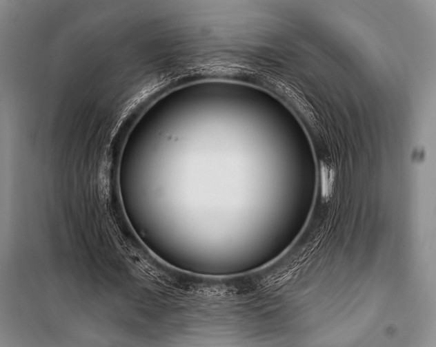 X0000101140675200806270920