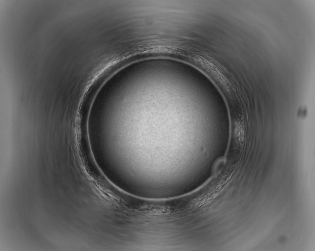 X0000101140676200806270920