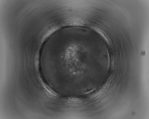 X0000101140677200806270920