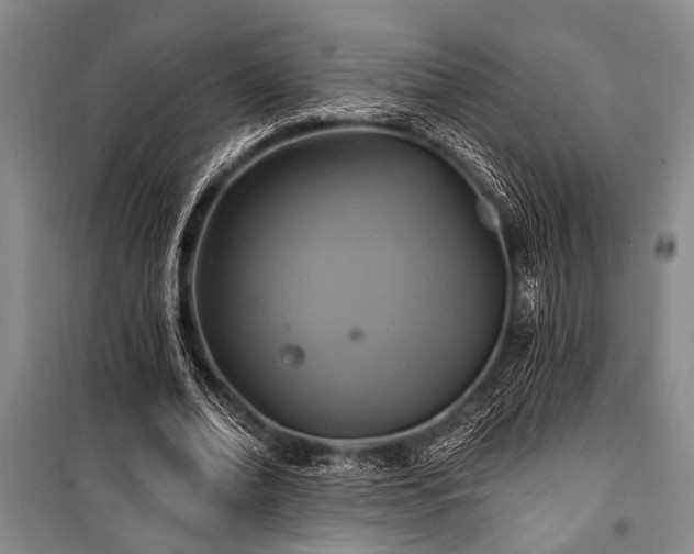 X0000101140678200806270920