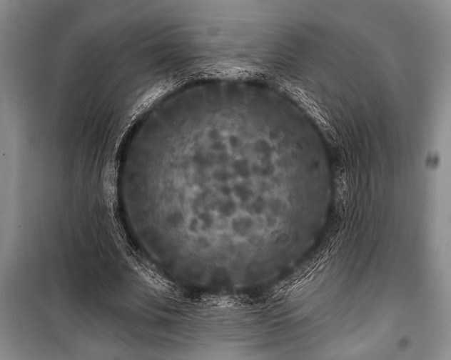 X0000101140679200806270920