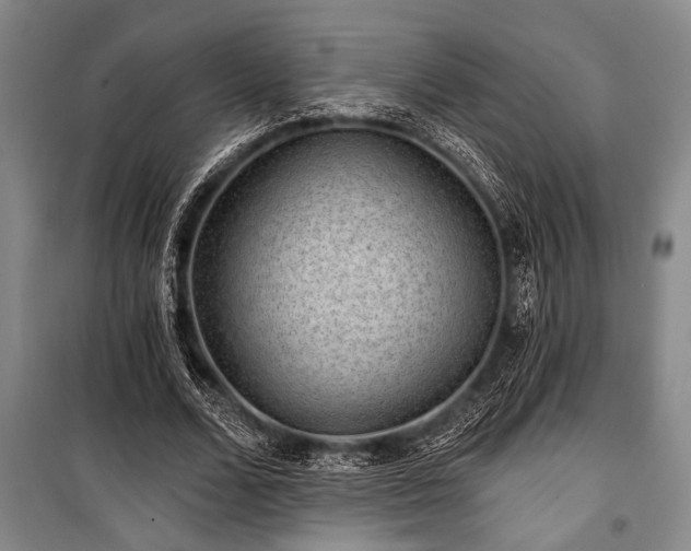 X0000101140680200806270920