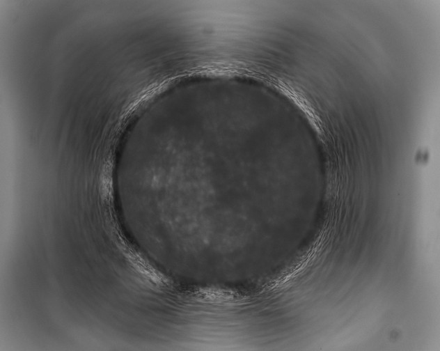 X0000101140681200806270920