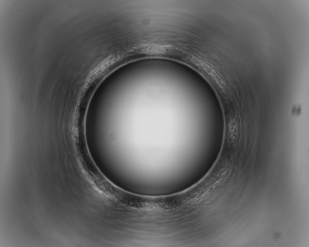 X0000101140682200806270920