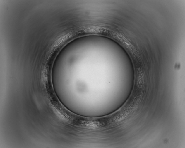 X0000101140683200806270920