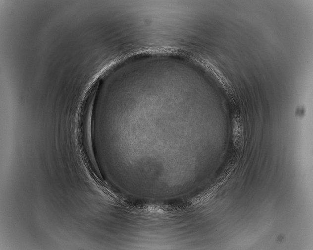 X0000101140684200806270920