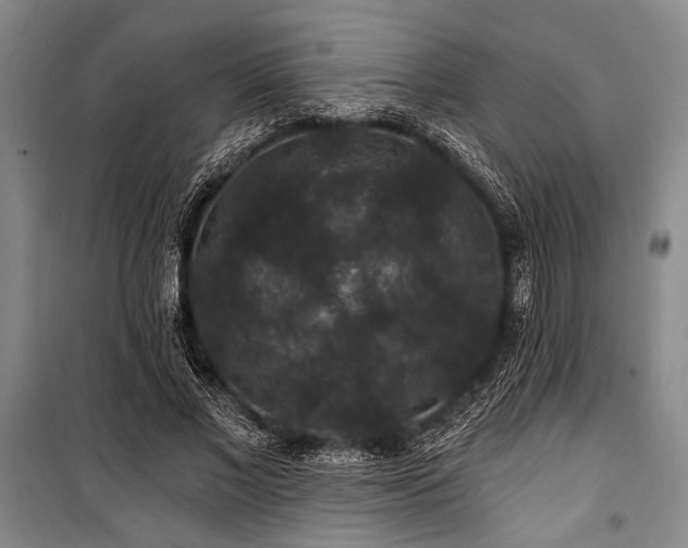 X0000101140685200806270920