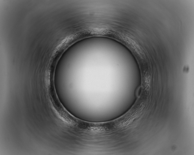 X0000101140686200806270920