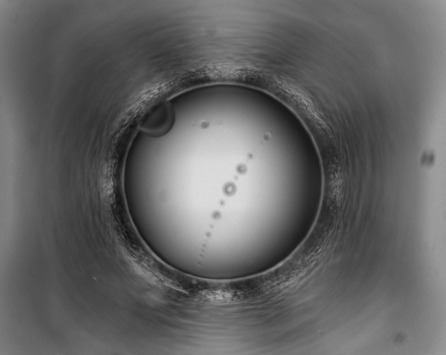 X0000101140687200806270920