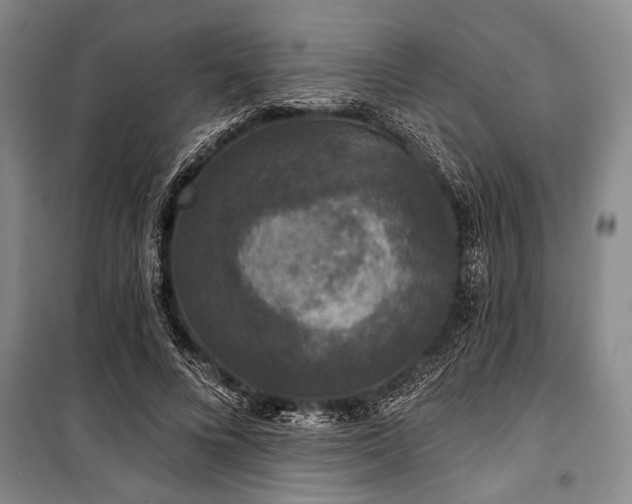 X0000101140688200806270920