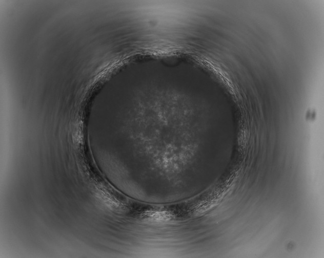 X0000101140689200806270920