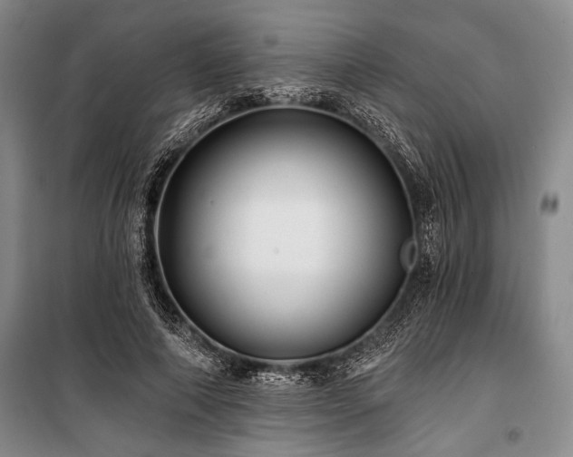 X0000101140690200806270920