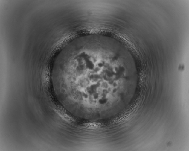 X0000101140691200806270920