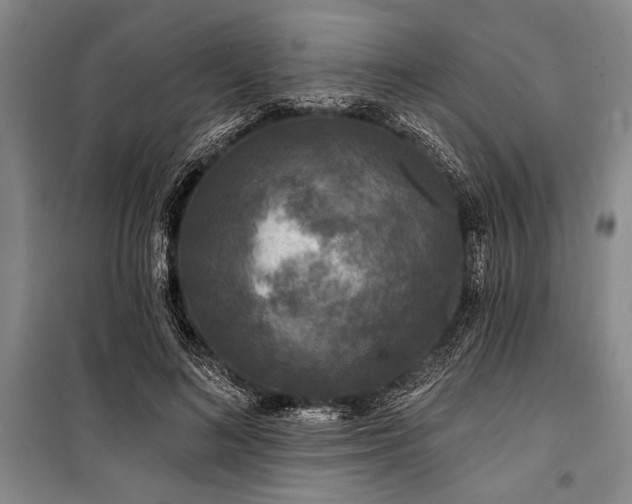 X0000101140692200806270920