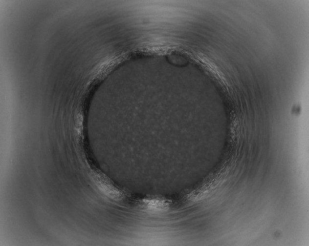 X0000101140693200806270920