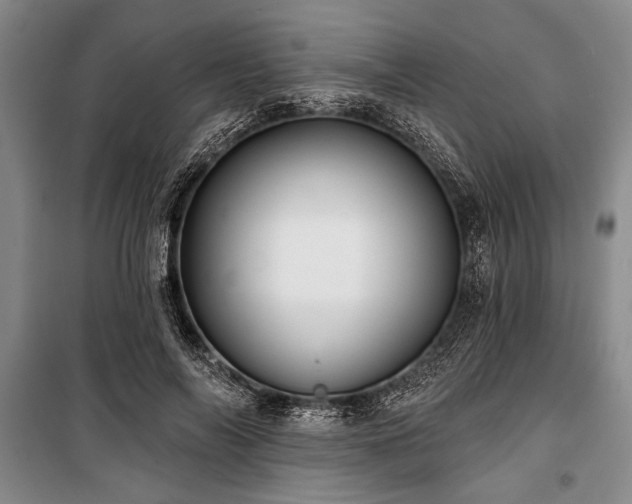 X0000101140694200806270920