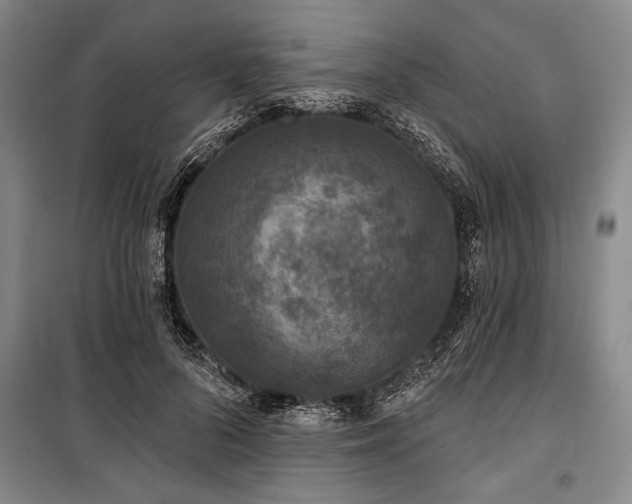 X0000101140696200806270920