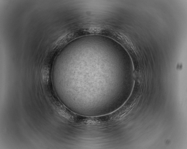 X0000101140697200806270920